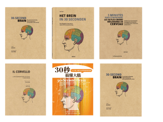 30SecBrainMontage