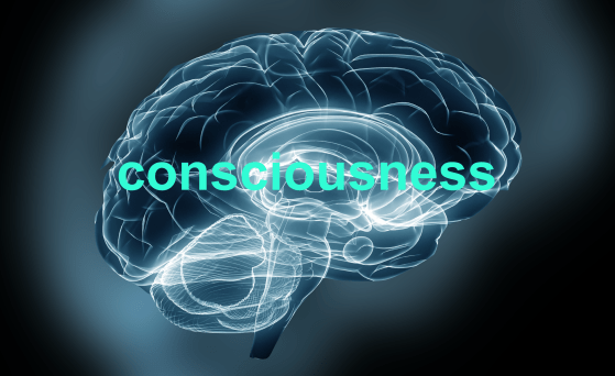 Screen Shot 2018-09-04 at 00.24.35